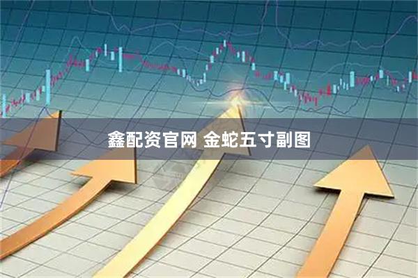 鑫配资官网 金蛇五寸副图