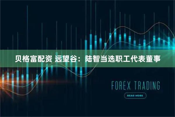 贝格富配资 远望谷：陆智当选职工代表董事